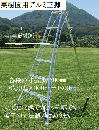 �ʎ����p�A���~�O�r�̐��@