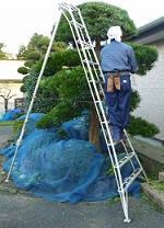 千葉県匝瑳市の職人さんの作業風景